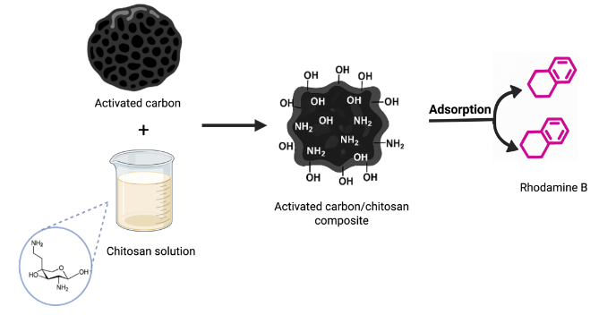 Effect of Chitosan Content on the Adsorptive Properties of Activated Carbon/Chitosan Composites Toward Rhodamine B 