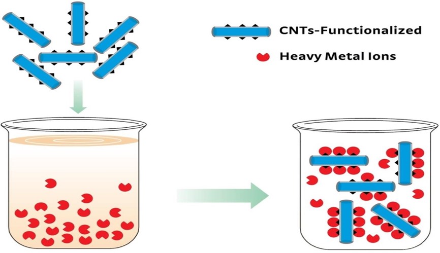Carbon nanotubes for heavy metal removal: Advanced adsorption and detection strategies 