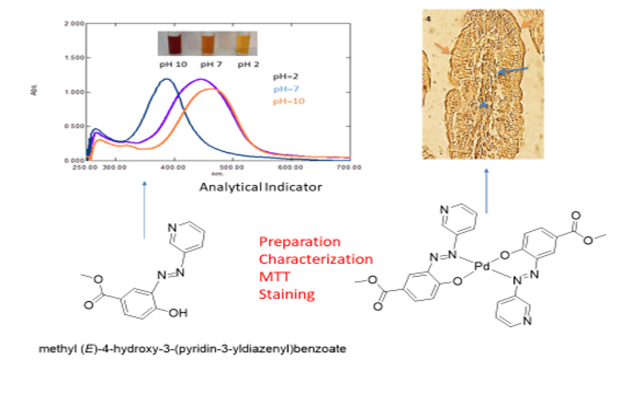 Potential anticancer activity and staining of tissue by new azo pyridyl dye and its palladium complex 