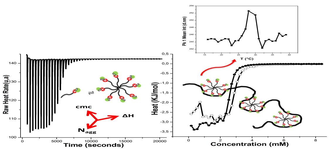 Calorimetric and physico-chemical study of sulfobetaines micellization in the presence and the absence of polystyrene nanoparticles. 