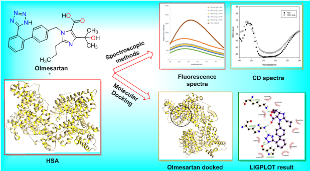 Study on the interaction of Olmesartan with human serum albumin (HSA) by spectroscopic and molecular docking techniques 