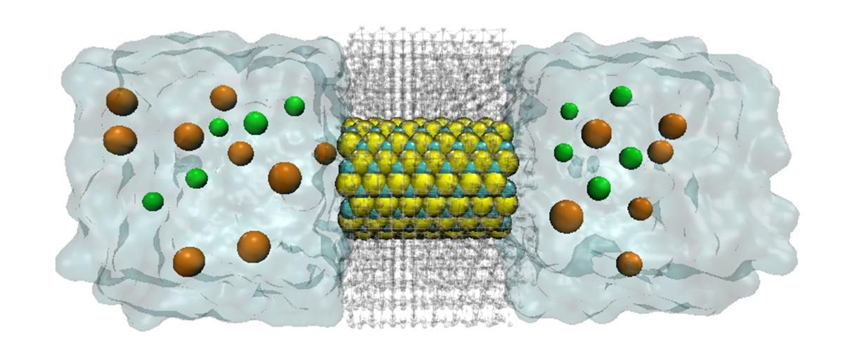 Electric field-dependent ion selectivity in armchair silicon carbide nanotubes: A molecular dynamics study 
