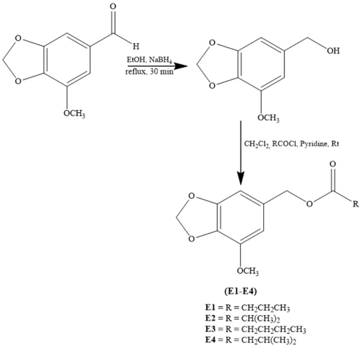 Synthesis, molecular docking with CXCR4 and pharmacokinetic/toxicity prediction study of new analogs myristicyl ester 