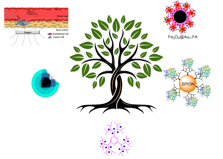 Preparation of magnetic nanodendrimers and their applications in organic reactions and biomedicine: An update 