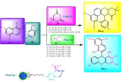Design of functionalized ferrite Nano Magnetic Catalyst (Fe3O4@SiO2/Si(CH2)3NH/HMPO/Pd(OAc(Fe3O4@SiO2/Si(CH2)3NH/HMPO/Pd(OAc)2) for the synthesis of benzo[a]xanthen-11-one and chromeno[2,3-b]pyridine-3-carbonitrile derivatives and biological studies 