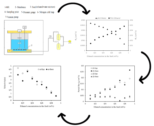 Evaluation of polydimethylsiloxane membrane performance for ethanol/water mixture separation: Mathematical modeling 