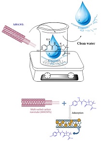 Adsorption of cefixime and amoxicillin from aqueous media employing MWCNTs and Clinoptilolite 