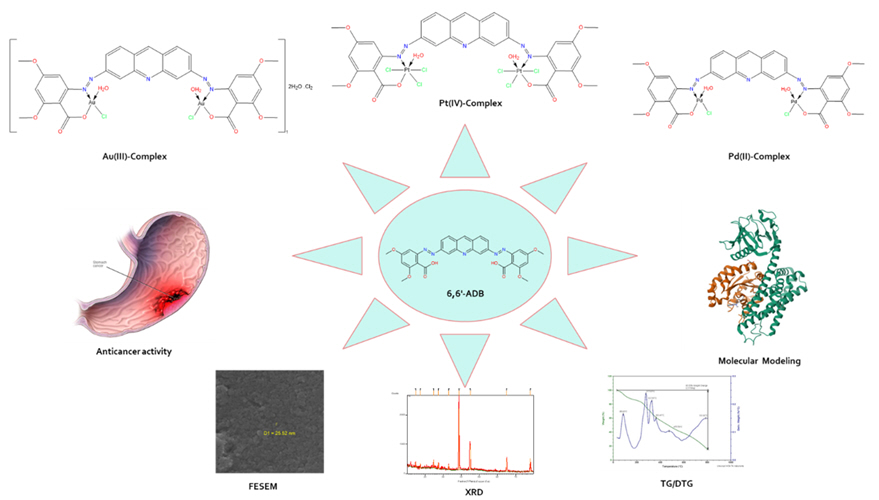 New azo-acridine derivatives as inhibitors of AGS cell line: Synthesis, coordination chemistry, cytotoxicity, and molecular modeling studies 