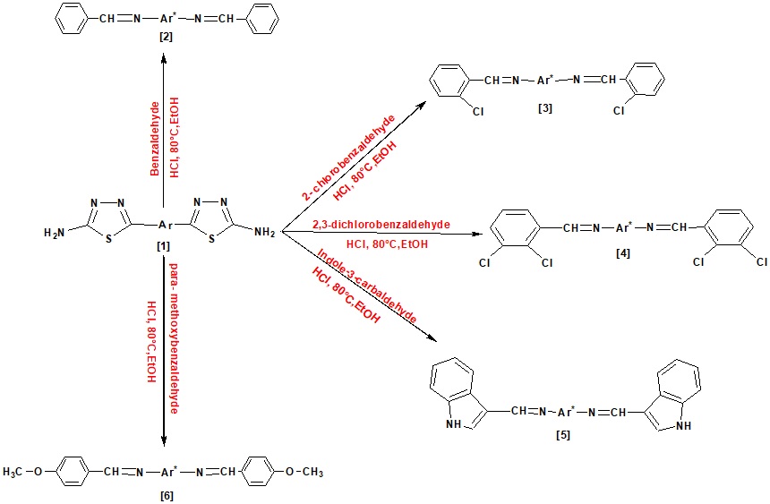 Synthesis of new schiff base compounds based on Tröger’s base contain thiadiazole amine and study antioxidant activity 